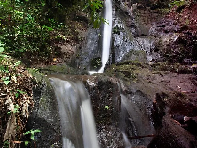 Bali Eco Adventure And Retreat Center ホリデーパーク 3*