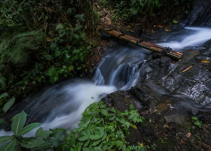 Bali Eco Adventure And Retreat Center 3* テガララン