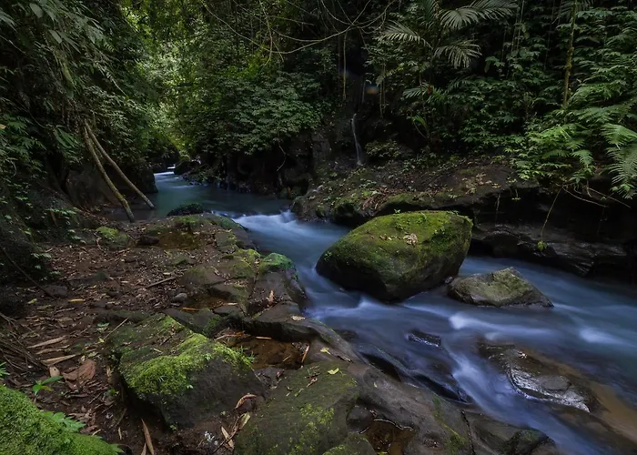 Bali Eco Adventure And Retreat Center ホリデーパーク 3*