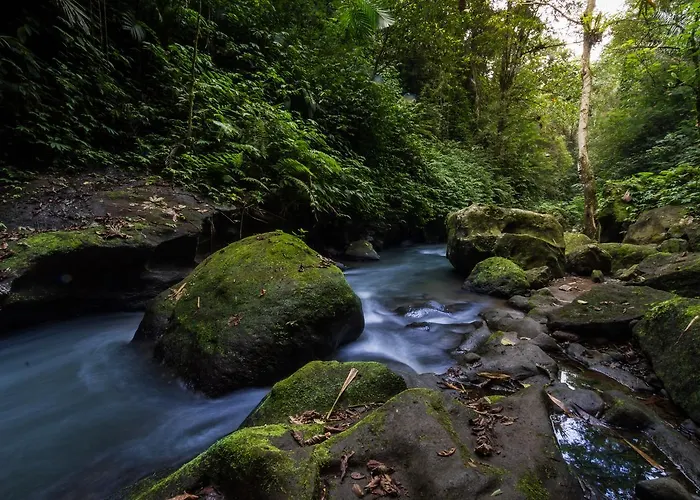 ホリデーパーク Bali Eco Adventure And Retreat Center 3*