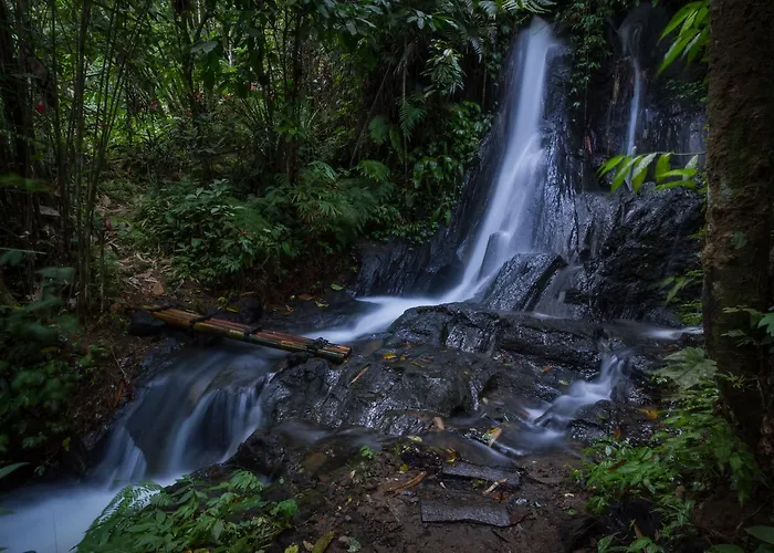 Bali Eco Adventure And Retreat Center 3* テガララン